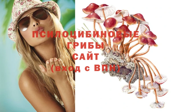 прущая мука Нефтекумск