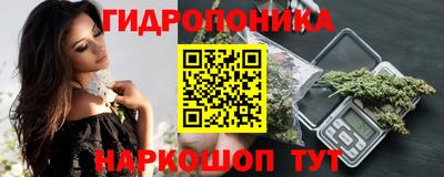Альфа ПВП Кинель