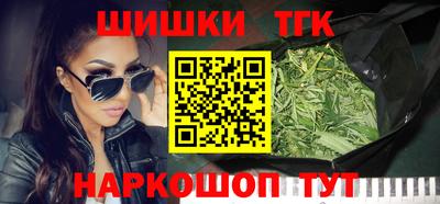 СК Кингисепп