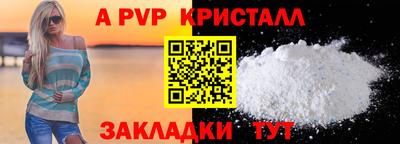 СК Кингисепп