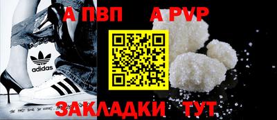 СК Кингисепп