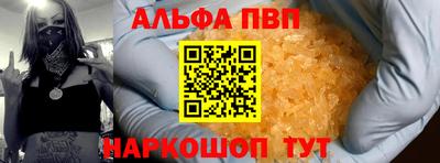 СК Кингисепп