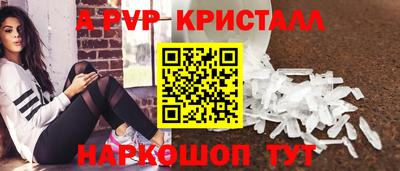 СК Кингисепп