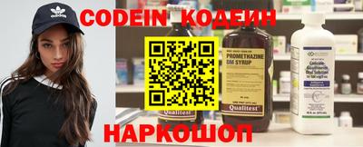 СК Кингисепп