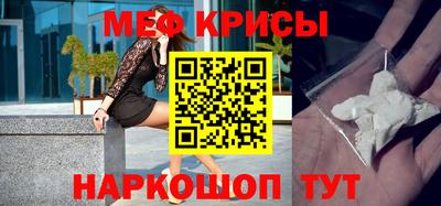 СК Кингисепп