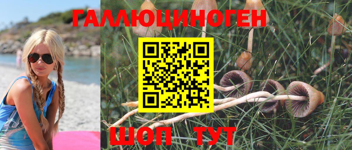 Галлюциногенные грибы прущие грибы Азов